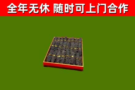 榕城回收海参